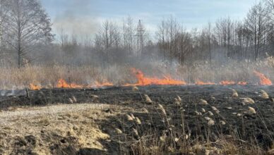 Groźny pożar traw w Nadmie. Ogień sunął przez wyschnięte łąki.