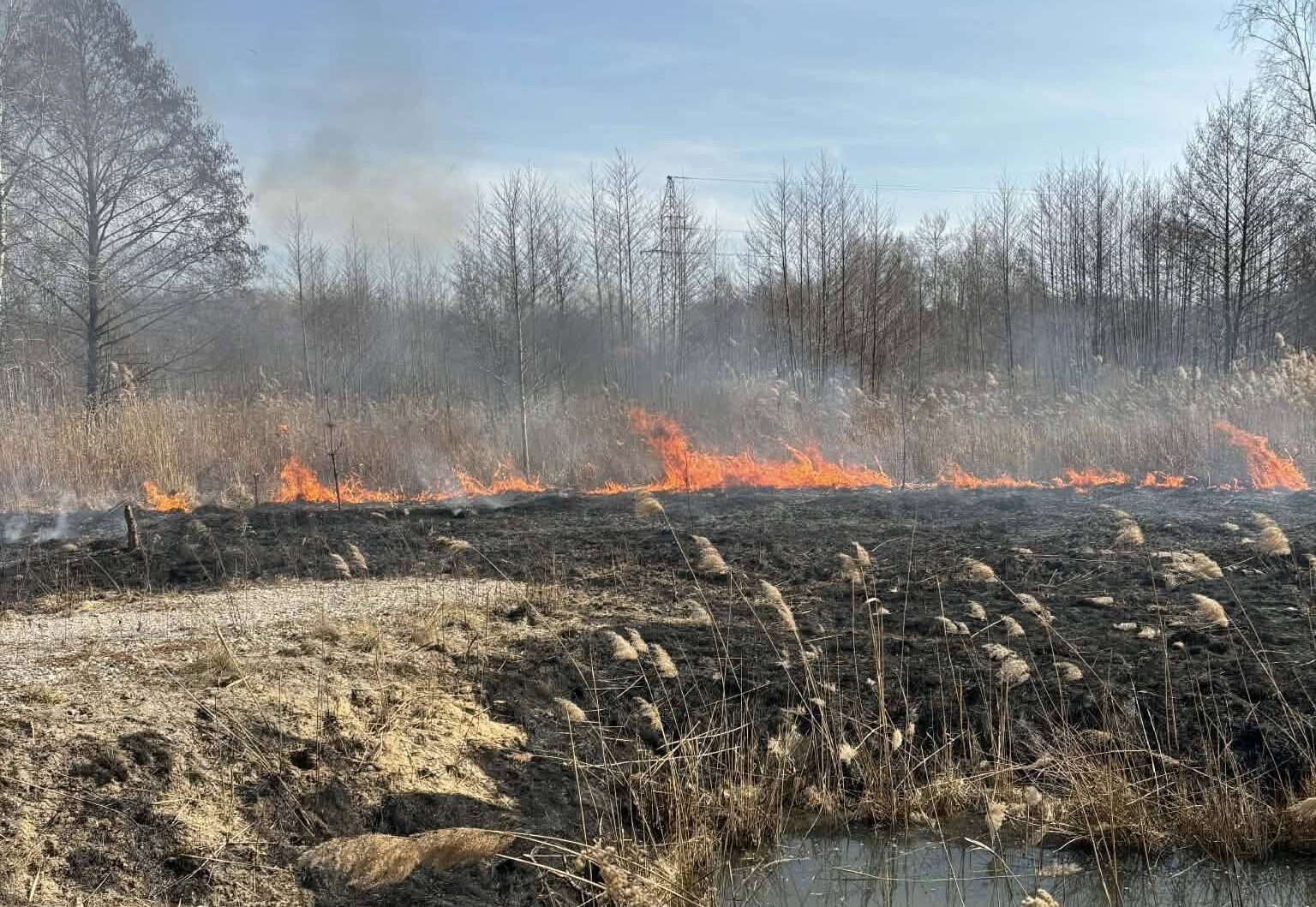 Groźny pożar traw w Nadmie. Ogień sunął przez wyschnięte łąki.
