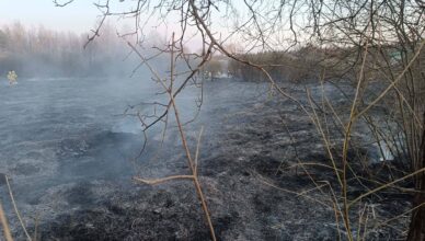 Pożar traw i nieużytków w Nadmie. Strażacy w akcji – to mogło skończyć się tragedią