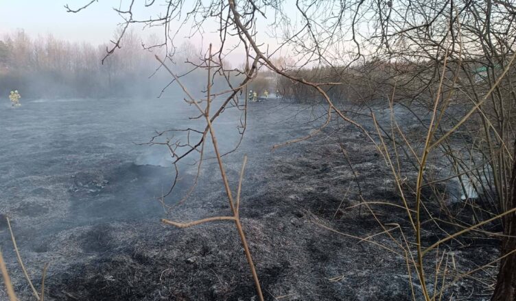 Pożar traw i nieużytków w Nadmie. Strażacy w akcji – to mogło skończyć się tragedią