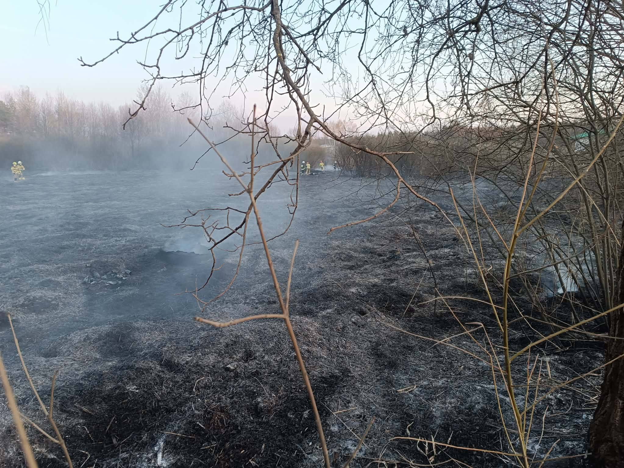 Pożar traw i nieużytków w Nadmie. Strażacy w akcji – to mogło skończyć się tragedią