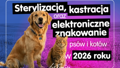Wołomin - Sterylizacja, kastracja i elektroniczne znakowanie psów i kotów w 2026 roku
