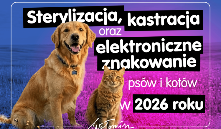 Wołomin - Sterylizacja, kastracja i elektroniczne znakowanie psów i kotów w 2026 roku