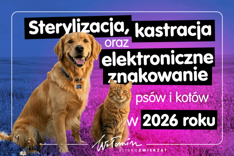 Wołomin - Sterylizacja, kastracja i elektroniczne znakowanie psów i kotów w 2026 roku