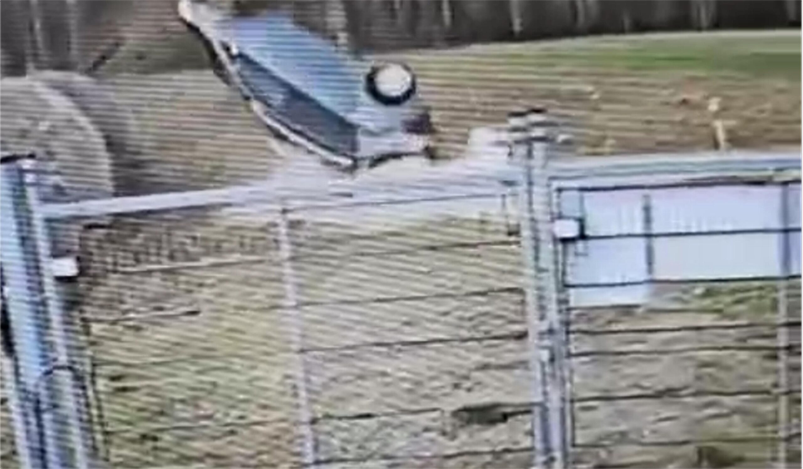 Pijana kierująca dachowała z dzieckiem w aucie. [wideo]