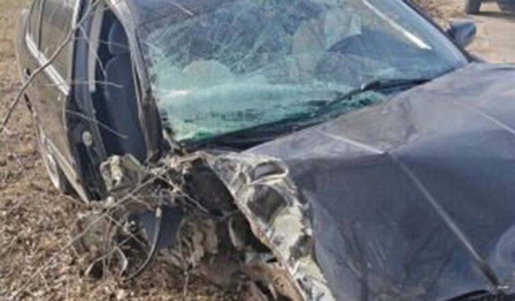 Pijany kierowca uderzył w drzewo - blisko tragedii na drodze.