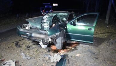 Pijany i bez prawa jazdy rozbił auto na drzewie