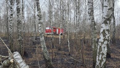 Groźny pożar torfowiska w Zielonce – ogień niewidoczny, ale niezwykle niebezpieczny