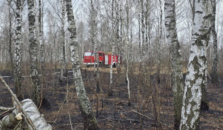 Groźny pożar torfowiska w Zielonce – ogień niewidoczny, ale niezwykle niebezpieczny
