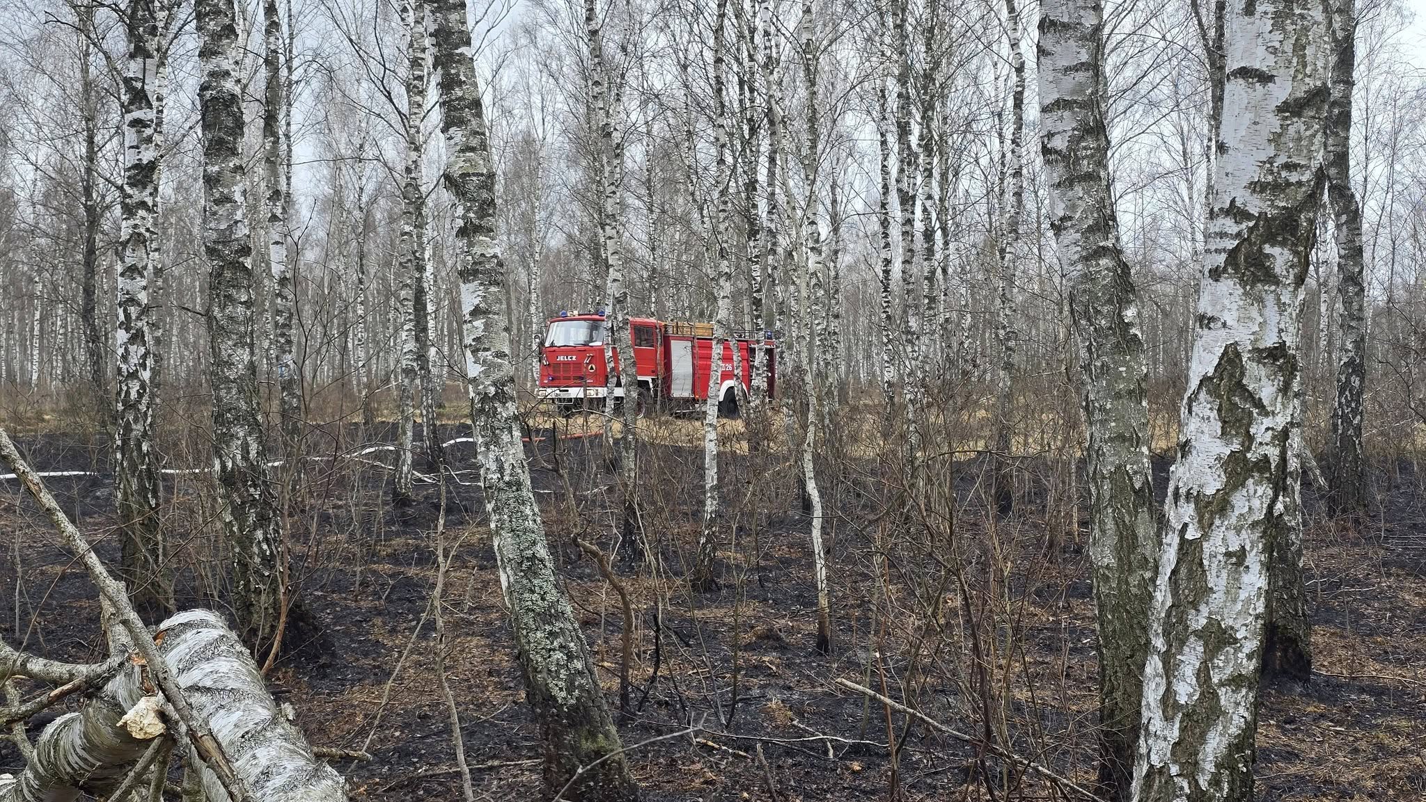 Groźny pożar torfowiska w Zielonce – ogień niewidoczny, ale niezwykle niebezpieczny