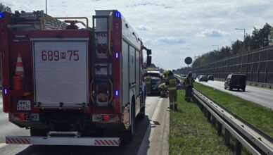 Pożar auta na DW631! Błyskawiczna reakcja kierowcy i świadków zapobiegła tragedii.