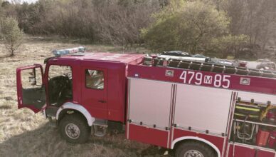 Pożar lasu w Jabłonnie. Ogień trawił poszycie – szybka akcja strażaków powstrzymała zagrożenie