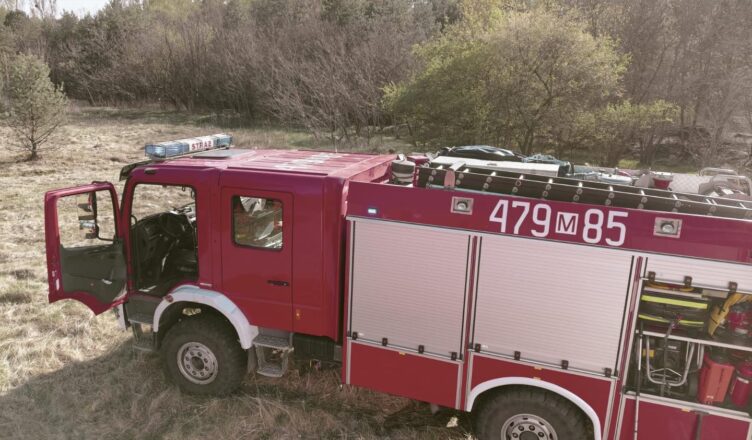 Pożar lasu w Jabłonnie. Ogień trawił poszycie – szybka akcja strażaków powstrzymała zagrożenie