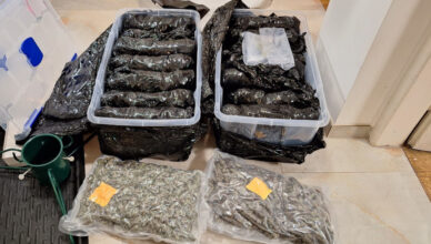 Magazyn narkotyków na Puławskiej rozbity! 18 kg marihuany i kokaina warte miliony