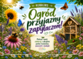 Wołomin - Konkurs „Ogród przyjazny zapylaczom!”