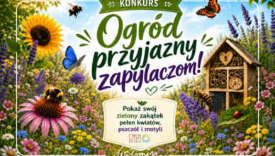 Wołomin - Konkurs „Ogród przyjazny zapylaczom!”