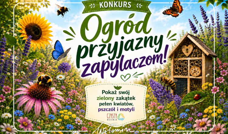 Wołomin - Konkurs „Ogród przyjazny zapylaczom!”