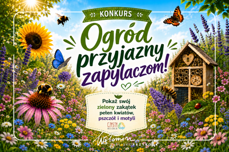 Wołomin - Konkurs „Ogród przyjazny zapylaczom!”