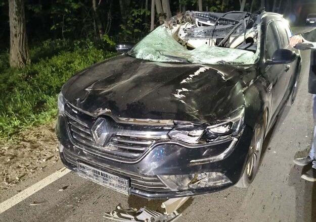 Dramat na drogach powiatu płockiego. Wypadki, łosie i jedna ofiara