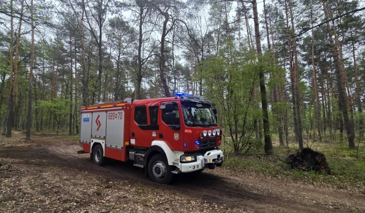 Alarm w lesie pod Zielonką. Strażacy z OSP Ząbki przeczesywali teren w poszukiwaniu ognia