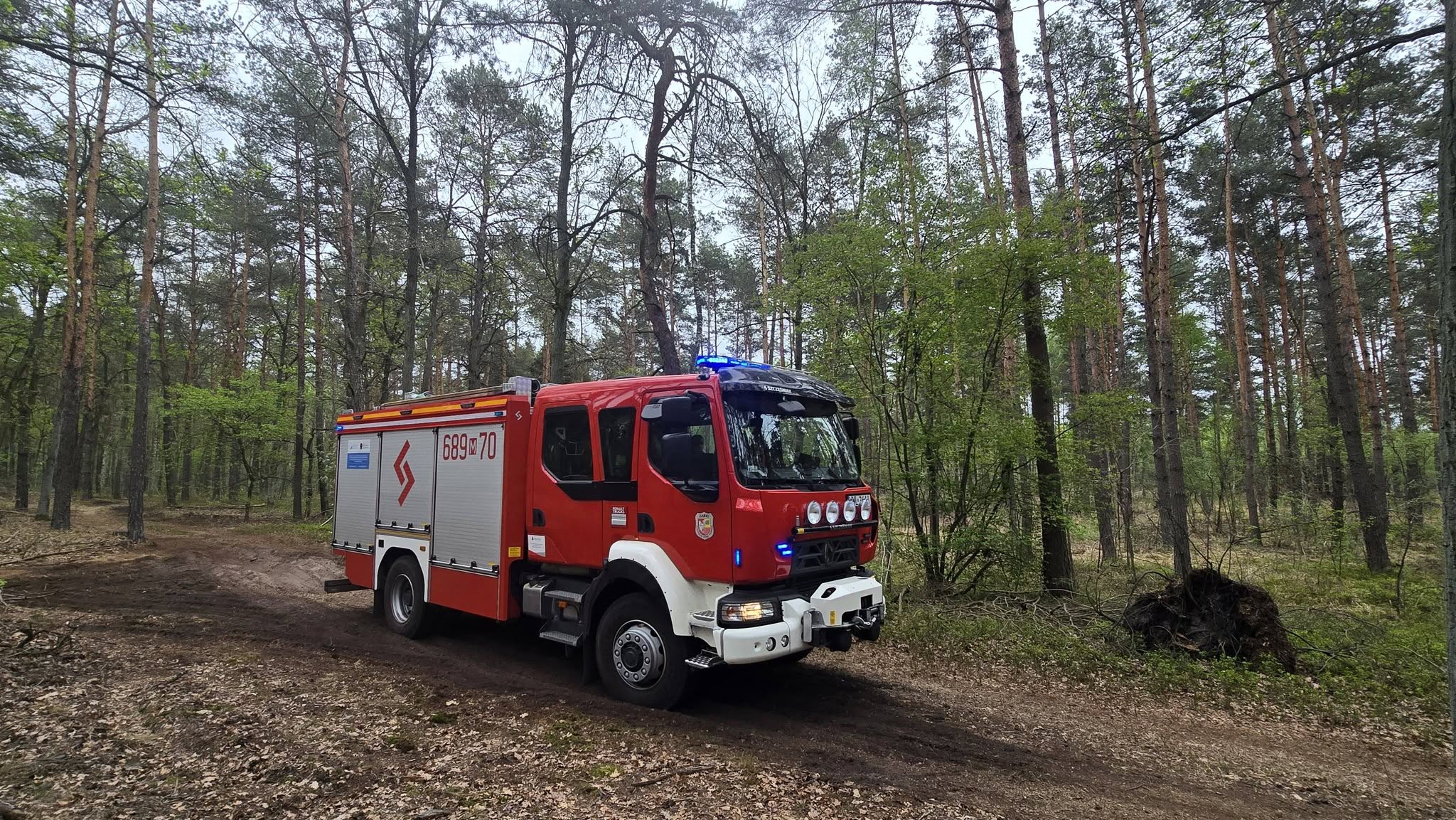 Alarm w lesie pod Zielonką. Strażacy z OSP Ząbki przeczesywali teren w poszukiwaniu ognia