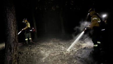 Pożar w powiecie wołomińskim wciąż nie odpuszcza. 1300 strażaków, setki pojazdów i lotnicza armada walczą z żywiołem