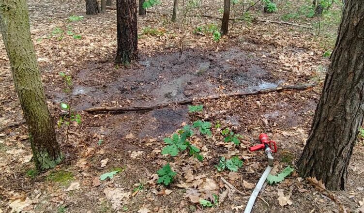 Szybka reakcja strażaków zapobiegła rozwojowi pożaru w lesie. Spłonął jedynie niewielki fragment ściółki