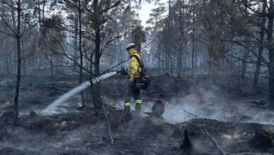 Gigantyczna akcja, na pograniczu powiatów, Pożar lasu, opanowany, walka, wciąż trwa