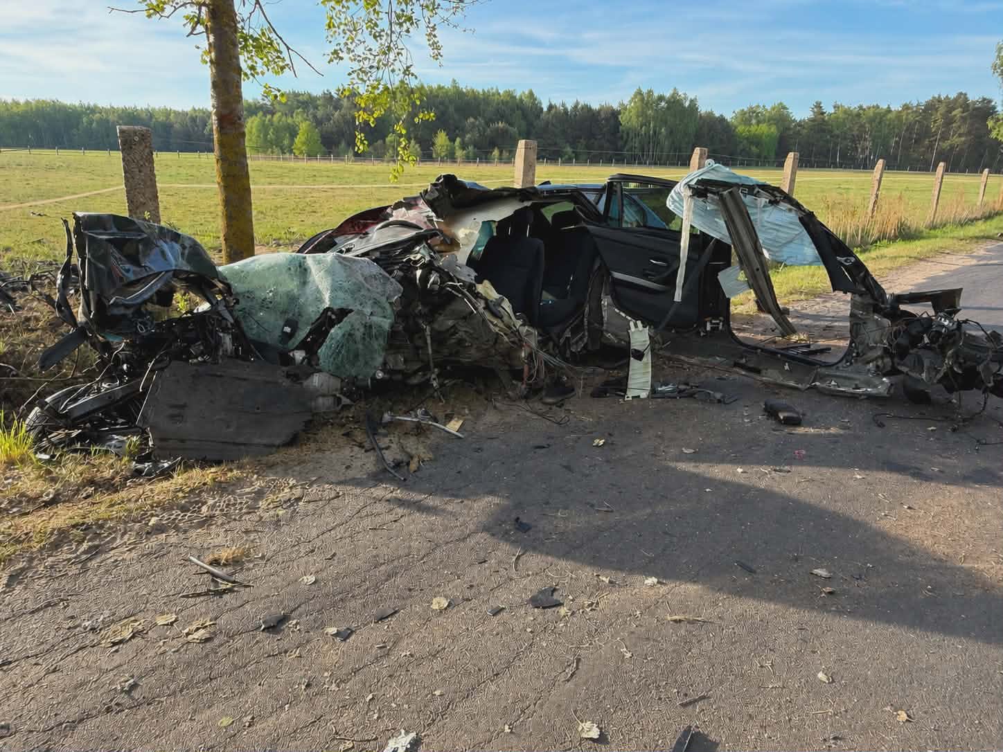 Śmiertelne zderzenie z łosiem pod Wyszkowem. Dramatyczny poranek na drodze między Przykorami a Brzezinowem