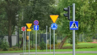 Marki - Zajęcia w plenerze dla przedszkoli