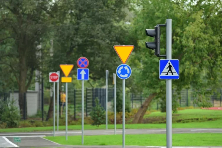 Marki - Zajęcia w plenerze dla przedszkoli