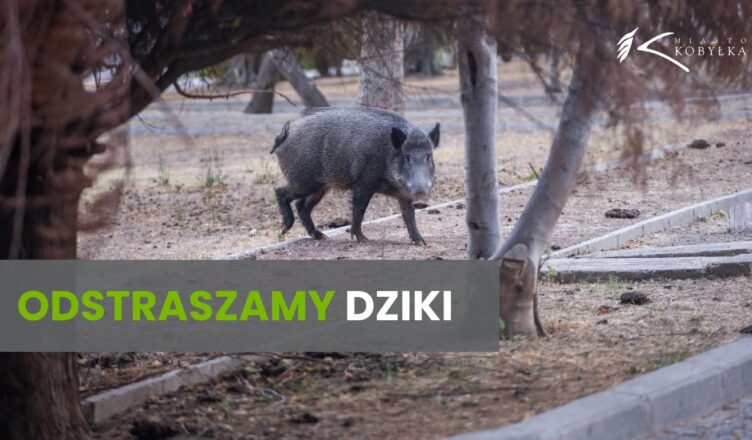 Kobyłka - Preparat odstraszający dziki