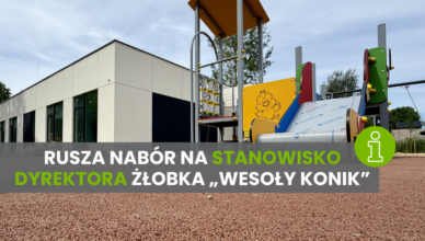 Kobyłka - Rusza nabór na stanowisko dyrektora żłobka „Wesoły Konik”