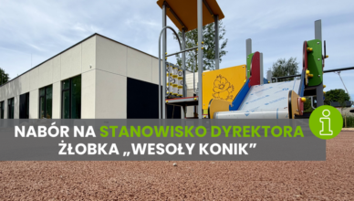 Kobyłka - Nabór na stanowisko dyrektora żłobka „Wesoły Konik”