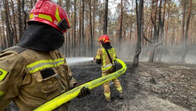 Trwa dogaszanie pożaru lasów w powiecie wołomińskim. W akcji ponad tysiąc ratowników