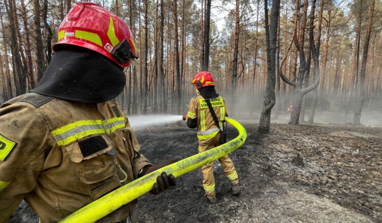 Trwa dogaszanie pożaru lasów w powiecie wołomińskim. W akcji ponad tysiąc ratowników