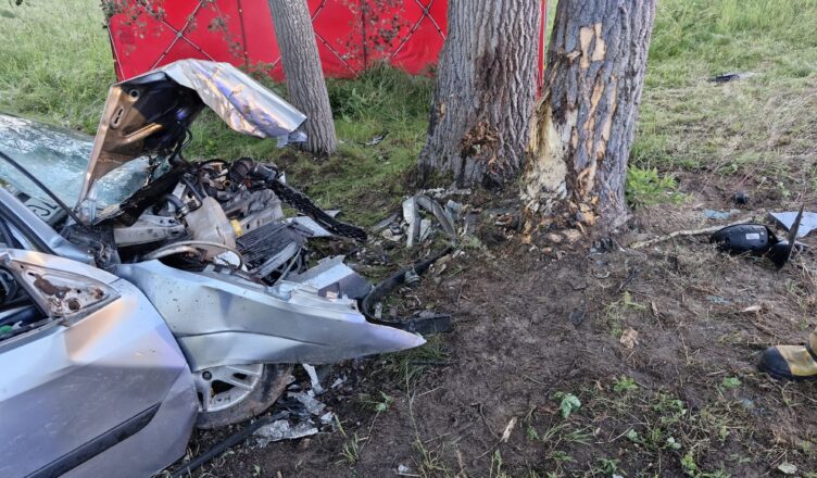 Ford uderzył w drzewo, kierująca zginęła na miejscu. Policja apeluje do świadków