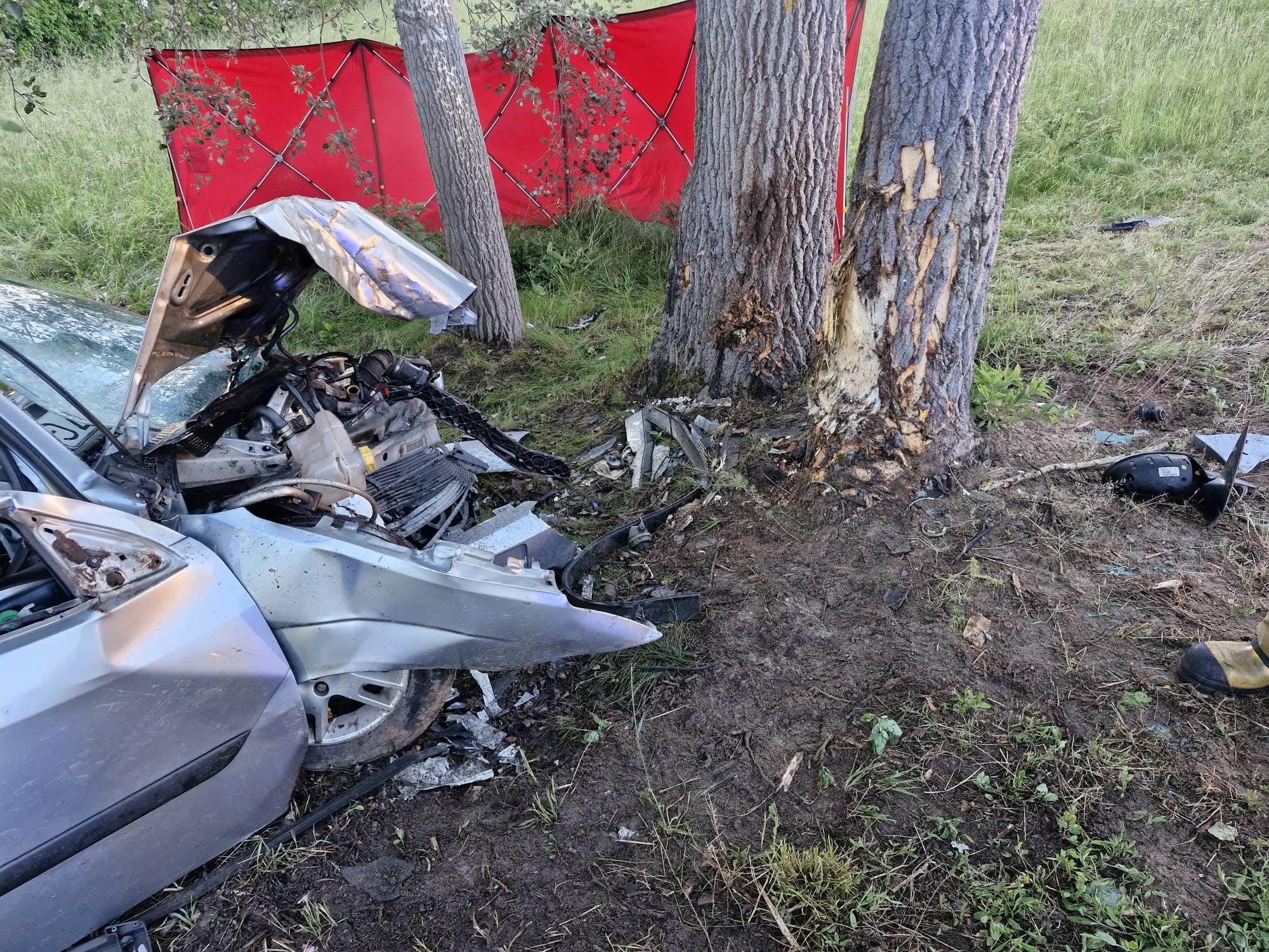 Ford uderzył w drzewo, kierująca zginęła na miejscu. Policja apeluje do świadków