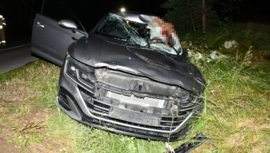 Łoś wtargnął na drogę pod Płońskiem. Volkswagen rozbity, kierowca trafił do szpitala