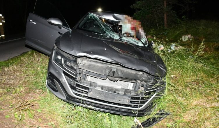 Łoś wtargnął na drogę pod Płońskiem. Volkswagen rozbity, kierowca trafił do szpitala