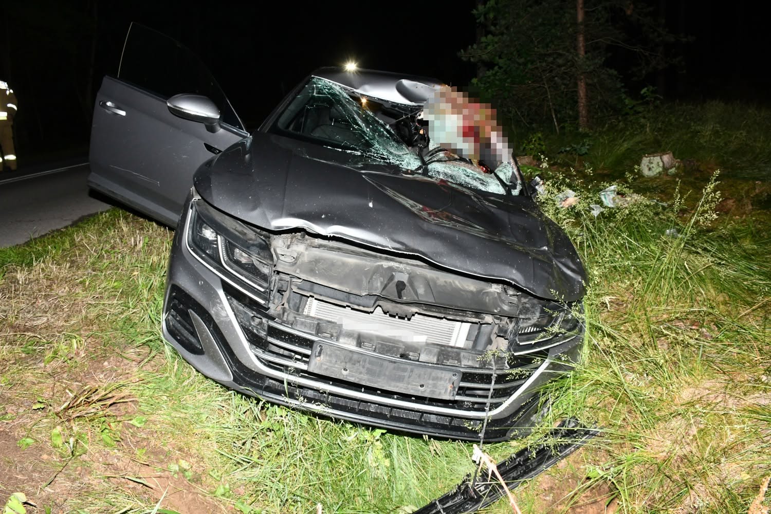 Łoś wtargnął na drogę pod Płońskiem. Volkswagen rozbity, kierowca trafił do szpitala