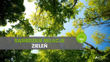 Kobyłka - Zieleń przy granicy działek