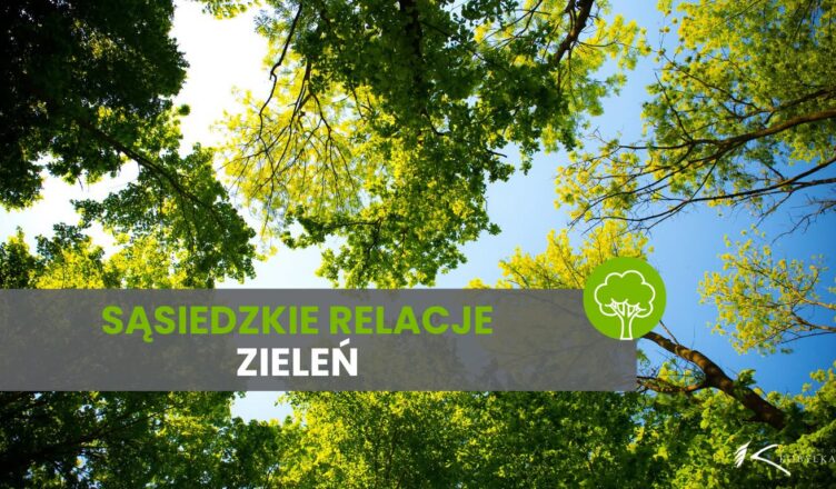 Kobyłka - Zieleń przy granicy działek