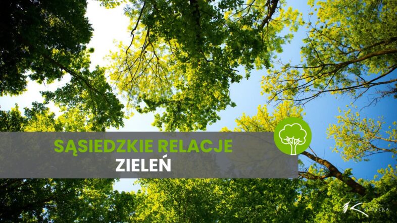 Kobyłka - Zieleń przy granicy działek