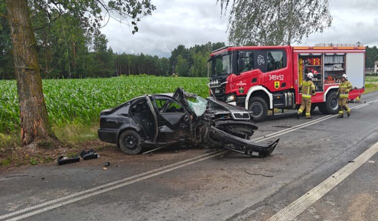 Uderzył skodą w drzewo - 21-latek trafił do szpitala