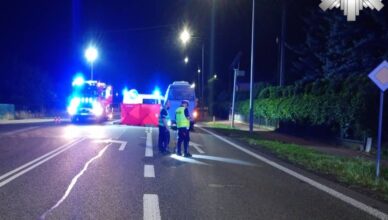 Śmiertelne potrącenie pieszego na DK 12