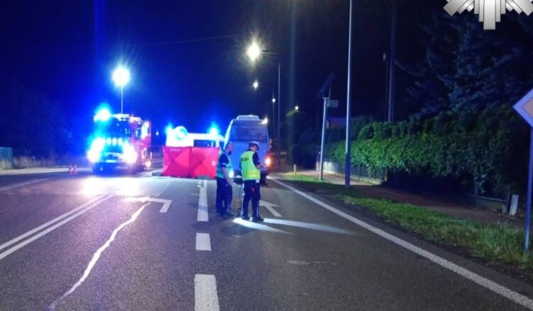 Śmiertelne potrącenie pieszego na DK 12