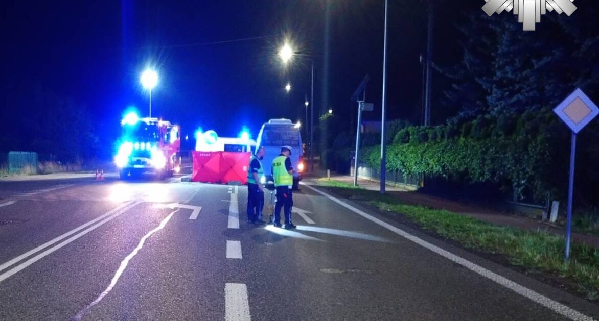 Śmiertelne potrącenie pieszego na DK 12