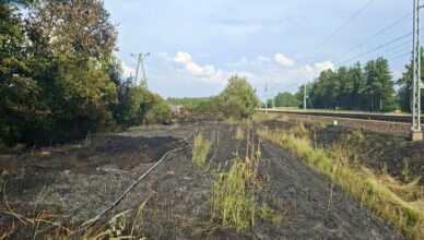 Duży pożar traw wzdłuż torów kolejowych. Ogień objął około 16 kilometrów, pociągi stanęły