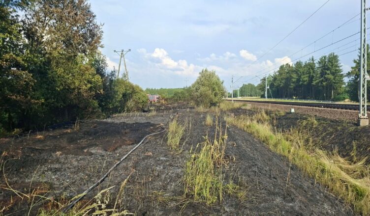 Duży pożar traw wzdłuż torów kolejowych. Ogień objął około 16 kilometrów, pociągi stanęły